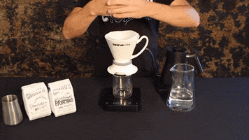 Good Morning GIF by Chromatic Coffee