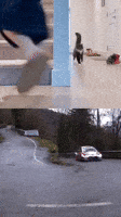 Sport Compare GIF by FIA World Rally Championship