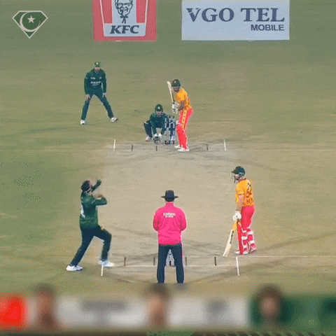 World Cup Cricket GIF