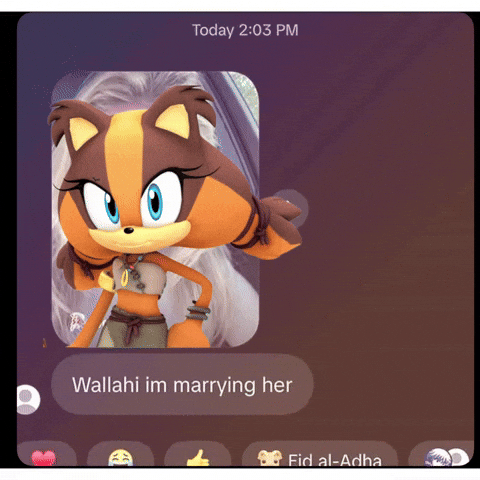 Sonic Boom Sticks GIF