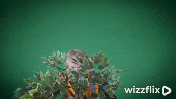 Wizzflix_ green good job forest leaves GIF