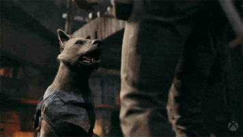 Excited Good Boy GIF by Xbox
