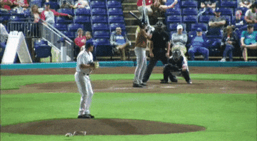 Texas Rangers GIF