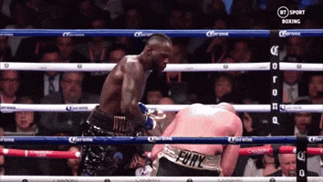 Tyson Fury GIF