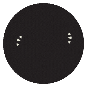 Miel Sticker by Özel Arı Okulları