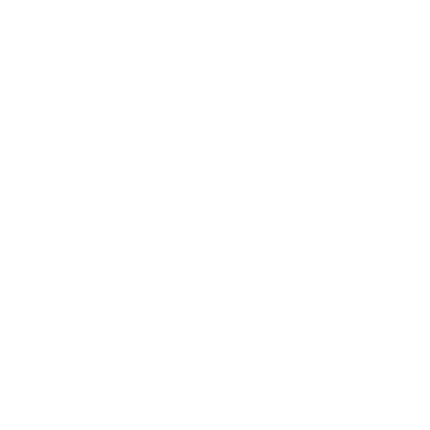 FITURE US Sticker