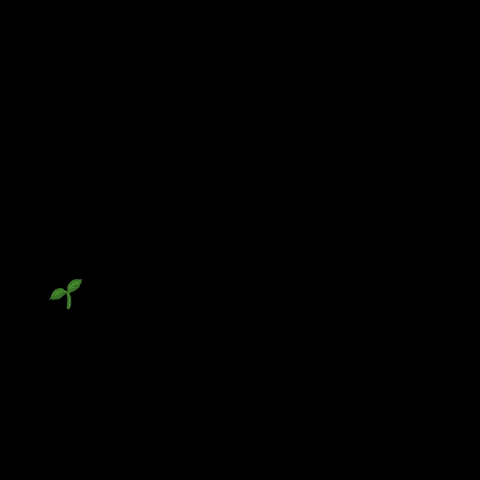 Horto Natura GIF