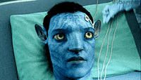 Avatar-franchise GIFs - Get the best GIF on GIPHY