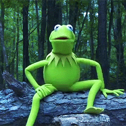 Ice bucket challenge Kermit