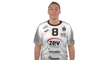 Handball Bundesliga Frauen Sticker