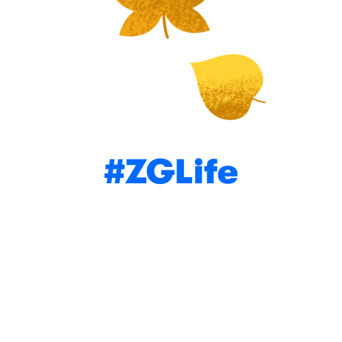 Zglife Sticker by Zillow