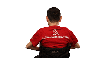 spvparalympic Sticker