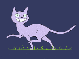 There He Goes Cheshire Cat GIF by caitcadieux