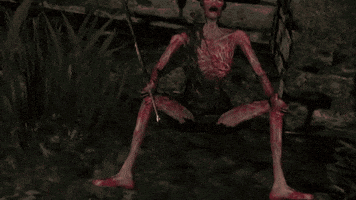 Dark Souls Soulsborne GIF