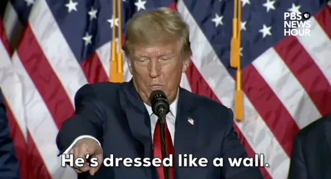 Donald Trump News GIF