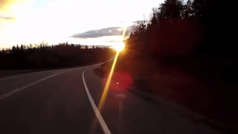 Crack Of Dawn GIFs - Get the best GIF on GIPHY
