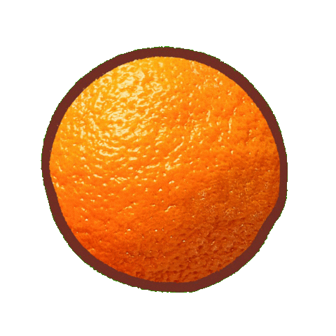 Orange Fruit Sticker by Ella's Kitchen