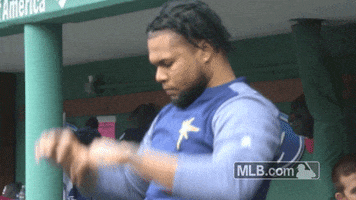 Warming Up Tampa Bay Rays GIF by MLB