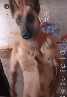 Ai Dog Dance GIF