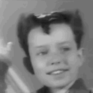 leave it to beaver vintage tv GIF by absurdnoise
