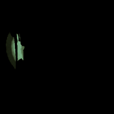 Augustoyantonela GIF by Explora la Magia