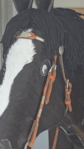 Horse GIF