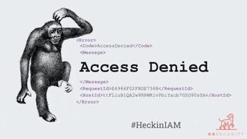S3 Access Denied GIF by k9 Security