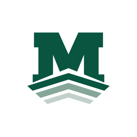 Owls Sticker by Mid-Pacific