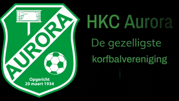 Hkcaurora GIF