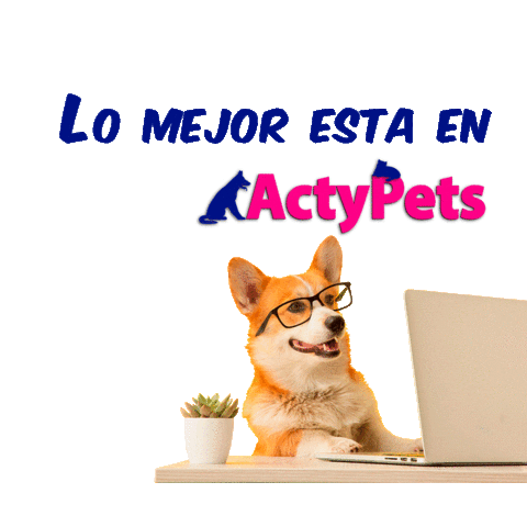 actypets Sticker