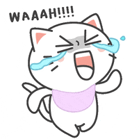 Sad Cat GIF by Kiki