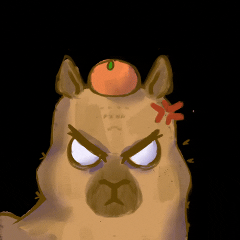 Capibara GIF
