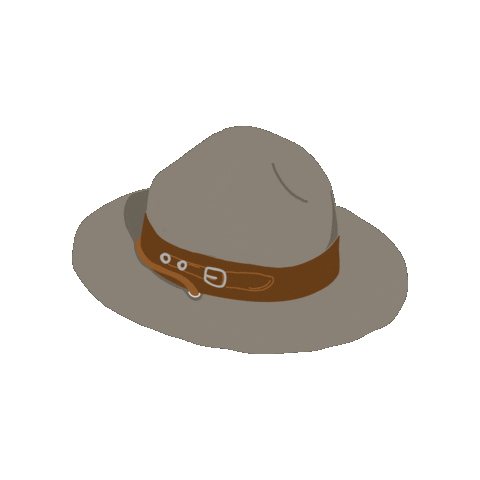 Austria Scouts Sticker by PfadfinderInnen Völs