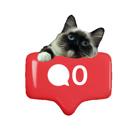 Meditherapy Sticker