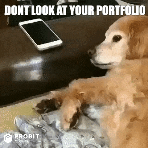 Dog Crypto GIF by ProBit Global