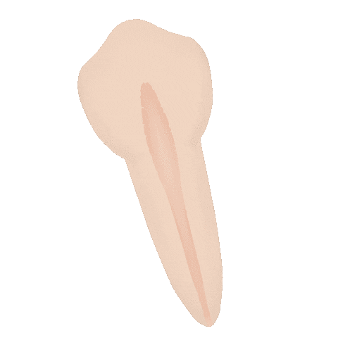 Dentista Sticker