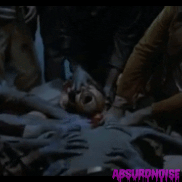 day of the dead horror movies GIF by absurdnoise