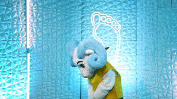 Chapel Hill Baseball GIF by UNC Tar Heels
