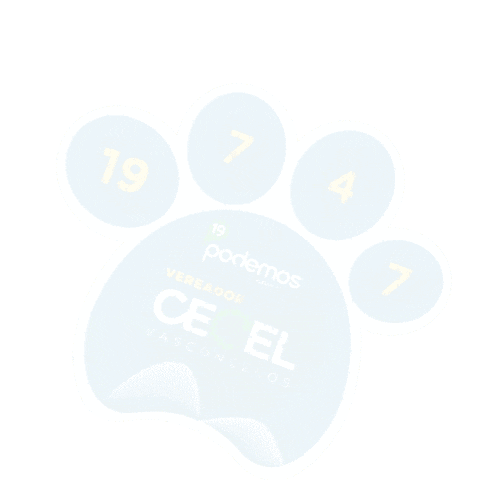 Cecel Vasconcelos Sticker