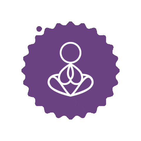 meditamexico Sticker