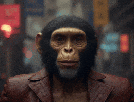 Fr GIF