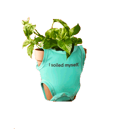 Scotts Plantbaby Sticker by MiracleGroCanada
