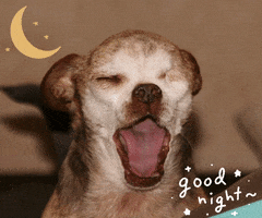 Good Night Yawn GIF by Harley's Dream