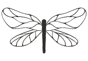 Fly Insect Sticker by AgencyHabitat