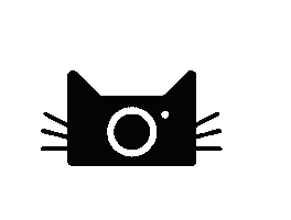 Photography Camera Sticker by Annitography