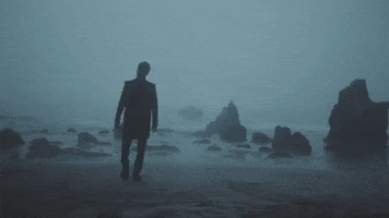 Adam Levine Beach GIF by Maroon 5