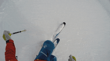 livigno snow freedom ski skiing GIF