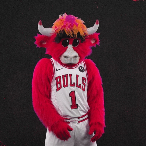 Red Bull Shrug GIF by Chicago Bulls