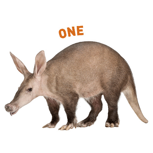 aardvark_inc Sticker