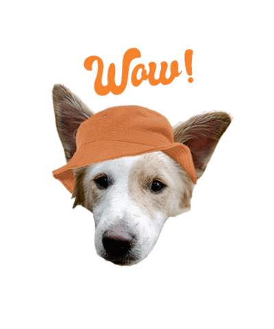 Agriturismo La Rinaldina Sticker